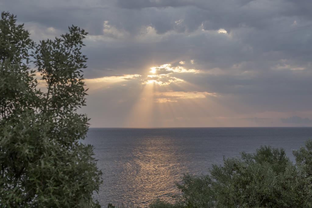 Pilio Sea Horizon Hotel Tsagaráda Eksteriør bilde